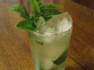 20110624ginginmulepaulprimary